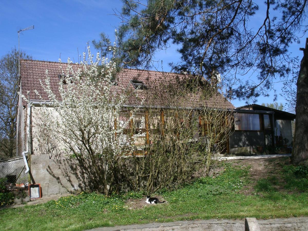 Saint-Julien-sur-Cher Chambres D'Hotes Du Moulin מראה חיצוני תמונה